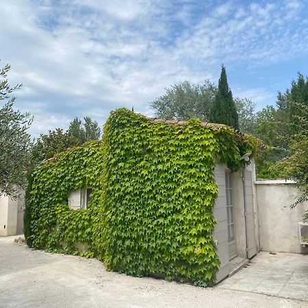 Le Mas Du Chemin : Mas Typique Des Alpilles Paradou Eksteriør billede